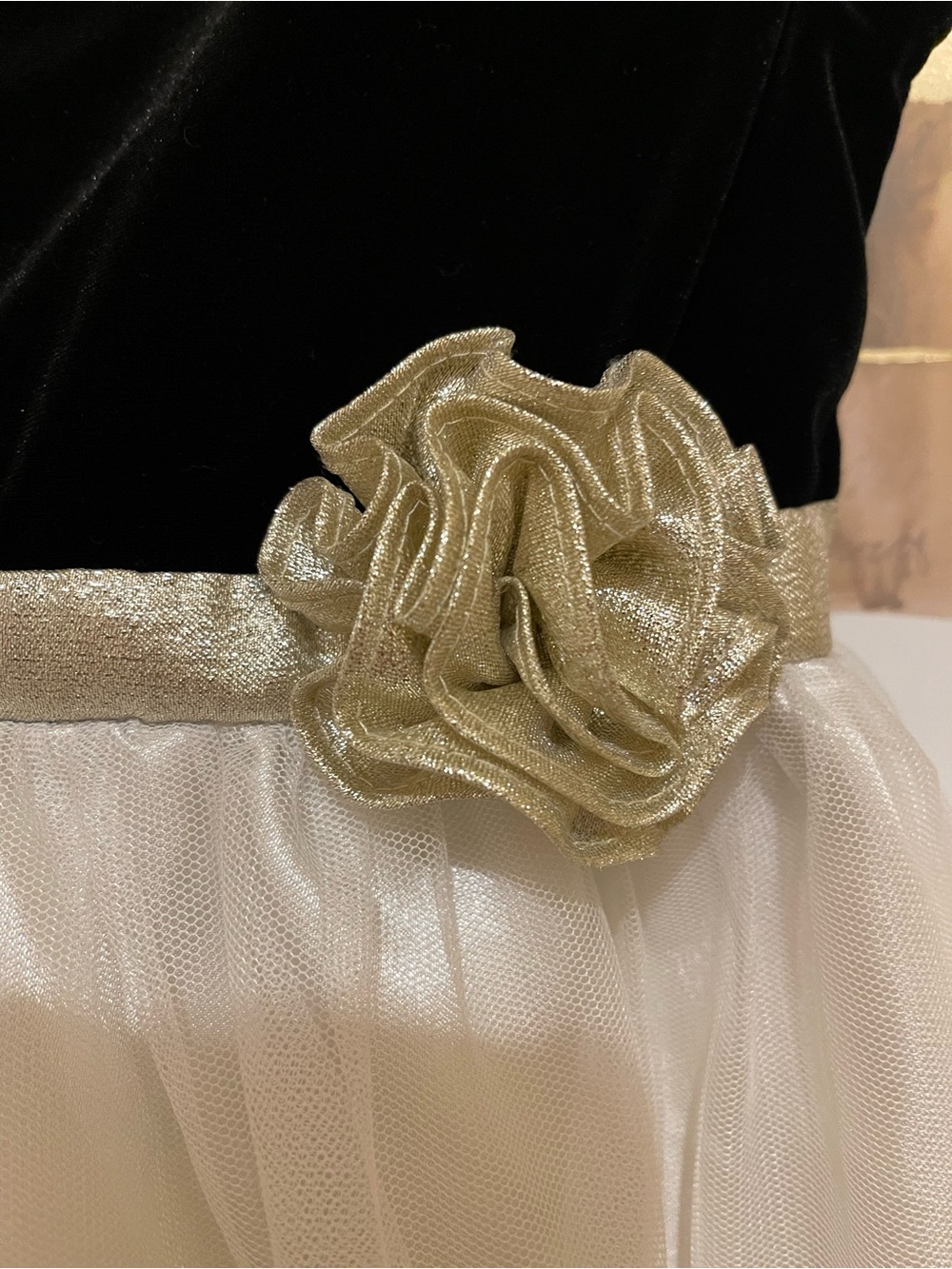 Jona Michelle Black Velvet and Cream Gold-Embroidered Party Dress - Picture 3 of 13